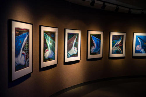 Helicoprion 'head shots' at the Alaska SeaLife Center