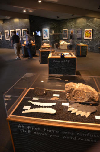 The Buzz Saw show at the Point Defiance Zoo and Aquarium in Tacoma, Washington