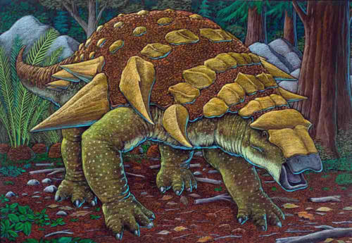Edmontonia, Alaskan ankylosaur