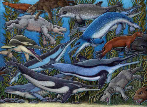 Emlongia (Oligocene/Miocene ocean life)