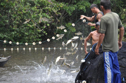 Fish Storm photo by Gary Staab 