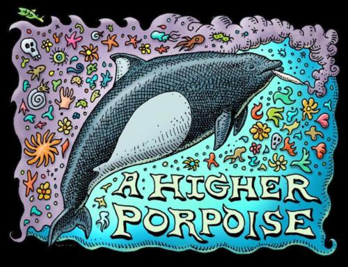 HigherPorpoise 