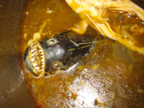 Piranha soup! Mmmmm...