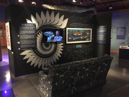 The Buzz Saw Shark show  at the High Desert Museum in Bend, Oregon