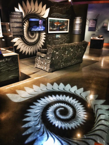 The Buzz Saw Shark show  at the High Desert Museum in Bend, Oregon