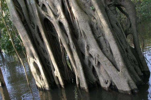 Sculpture.