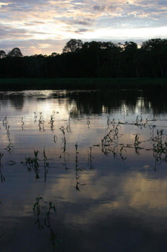 Riverscape.