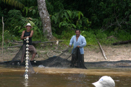 Commercial fishing operation… pulling a seine net by hand.
