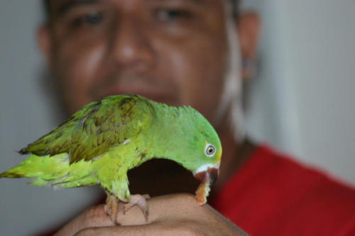 Meseno and friend.