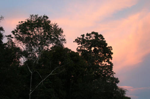 The clouds, the clouds.