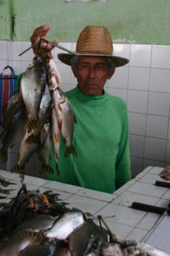 A handsome old fishmonger with Jaraqui for sale, Coari.