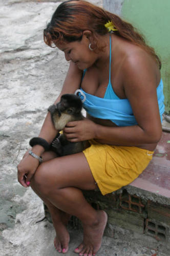 Spider monkey and friend.