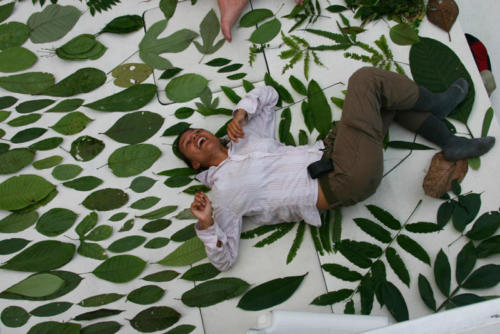 Paula in leaf heaven.