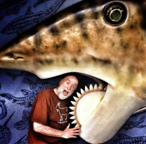 In the maw of the saw jaw