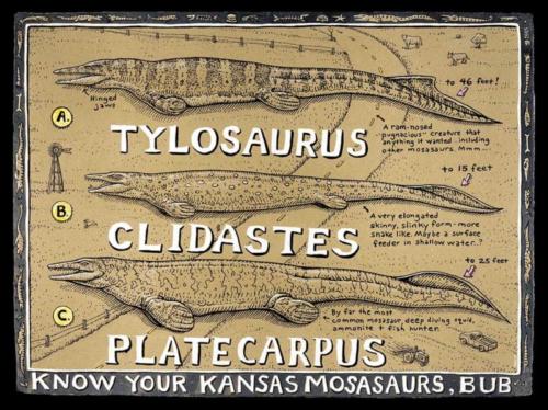Know Your Kansas Mosasaurs Bub 