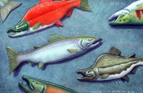 Know Your Salmon Bub