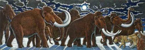 Mammoths in the Moonlight
