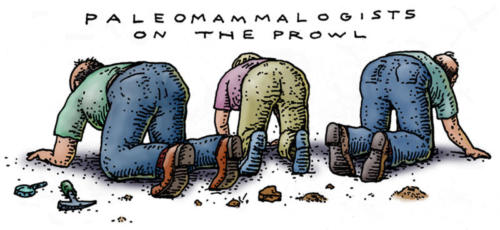 PaleoMammalogists