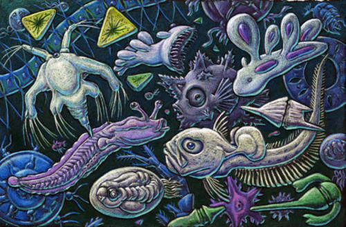 Plankton in all it's Minute Glory