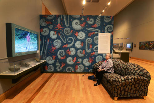 The 'paleo lounge" with TV set, ammonite wallpaper, trilobite couch and fossils