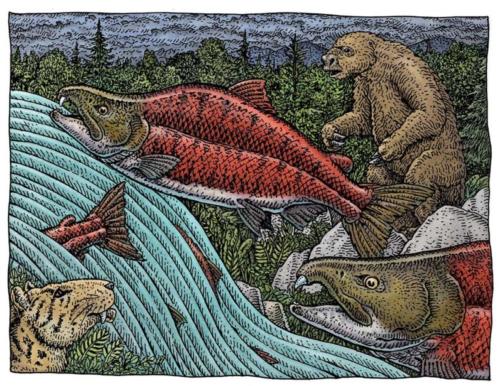 Saber Salmon and Sloth