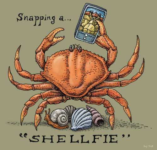 Snapping a Shellfie 