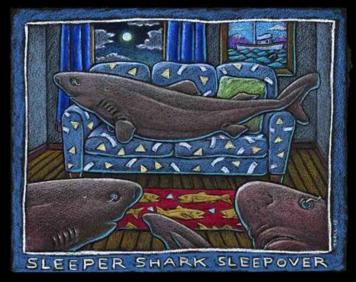 Sleeper Shark Sleepover