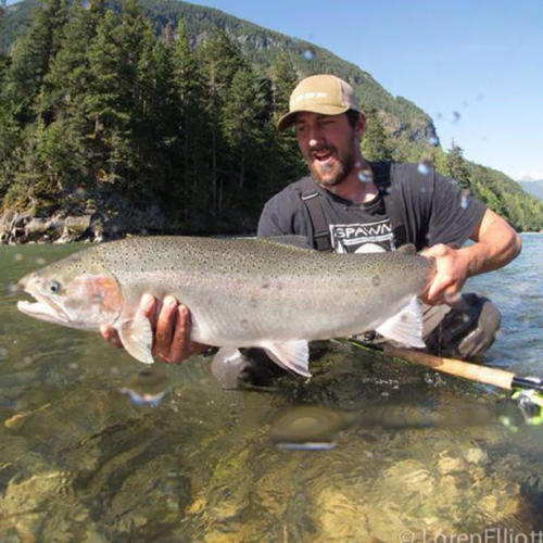 Steelhead and spawn shirt...always a nice combo