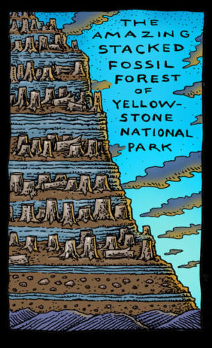 Stacked Fossil Forests of Yellowstone