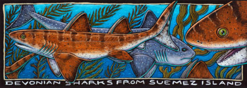 Suemez Island Sharks 