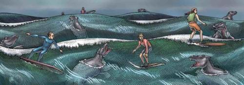 Surfin' with the Desmos chapter heading