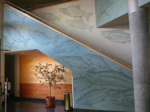 Salmon stairway at UAS, Juneau