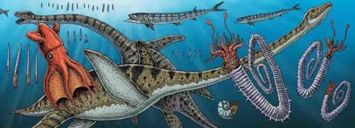 Ammonites of the Salish sea chapter heading