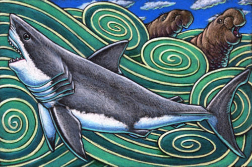 Great White Shark and Elephant Seals 