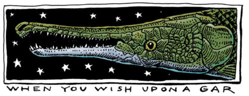 Wish Upon a Gar