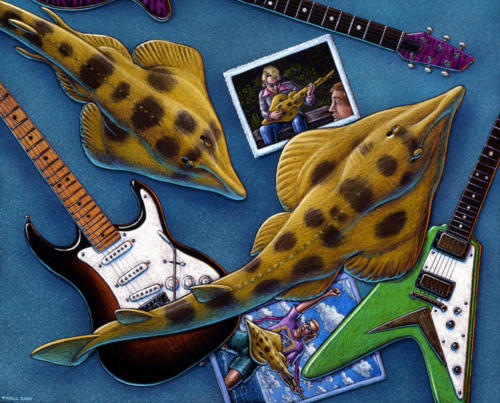 Yellow Shovelnosed Guitarfish