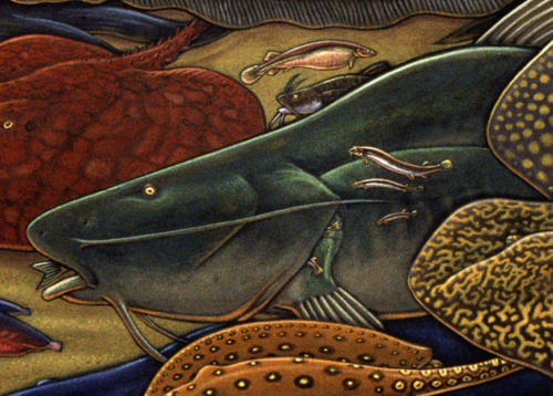 detail from Fishes of Amazonia mural