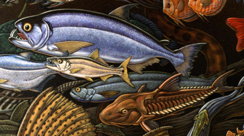 detail from Fishes of Amazonia mural
