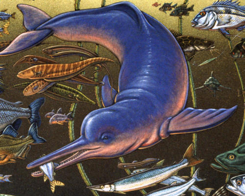 detail from Fishes of Amazonia mural