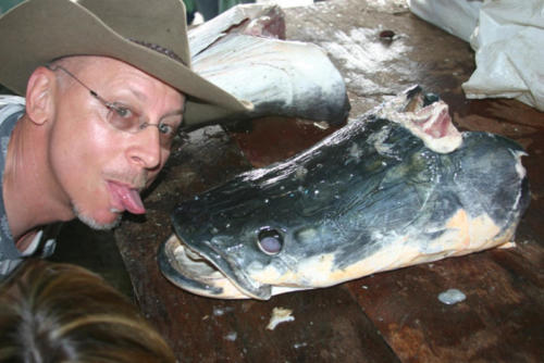 Strassman and Arapima. Oh yes.