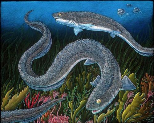 Listracanthus