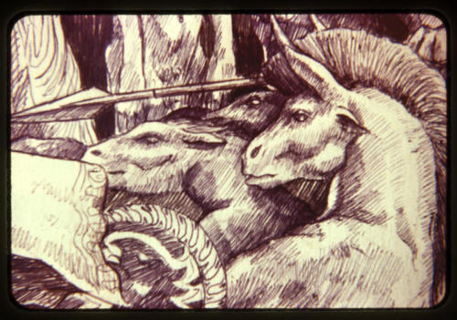 Four Horsemen Detail