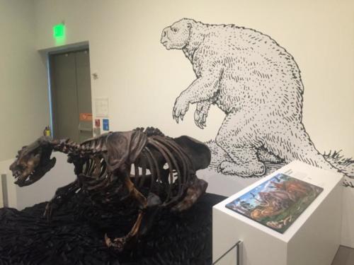 Oakland Museum installation shot with ground sloth sculpture (Paramylodon)