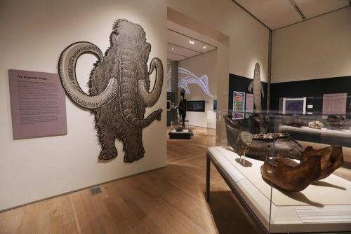 The Alaska State Museum installation in Juneau