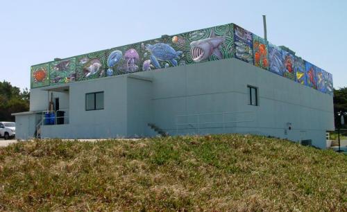 Pacific Grove NOAA lab photoshop composition